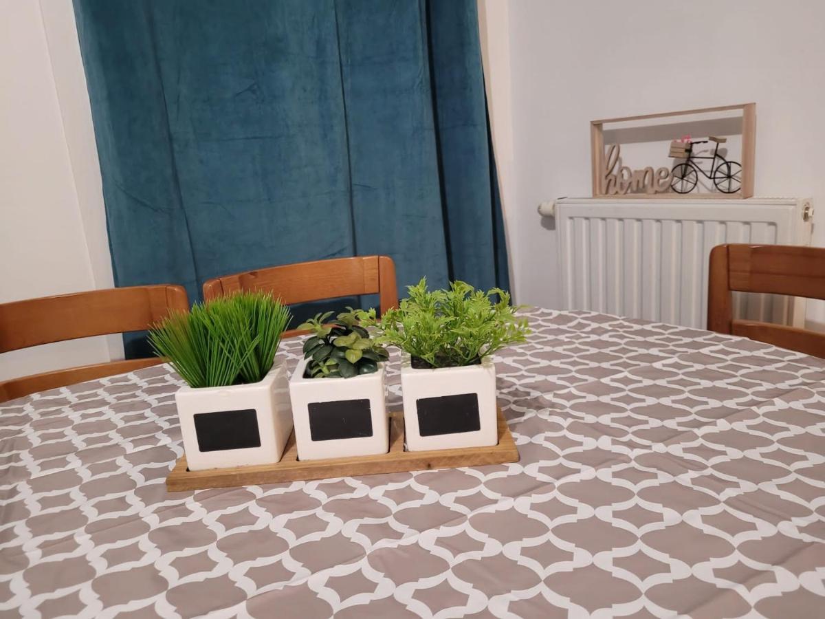 Boissy Gare Rer A Appartement 1 A 3 Chambres Au Choix 외부 사진