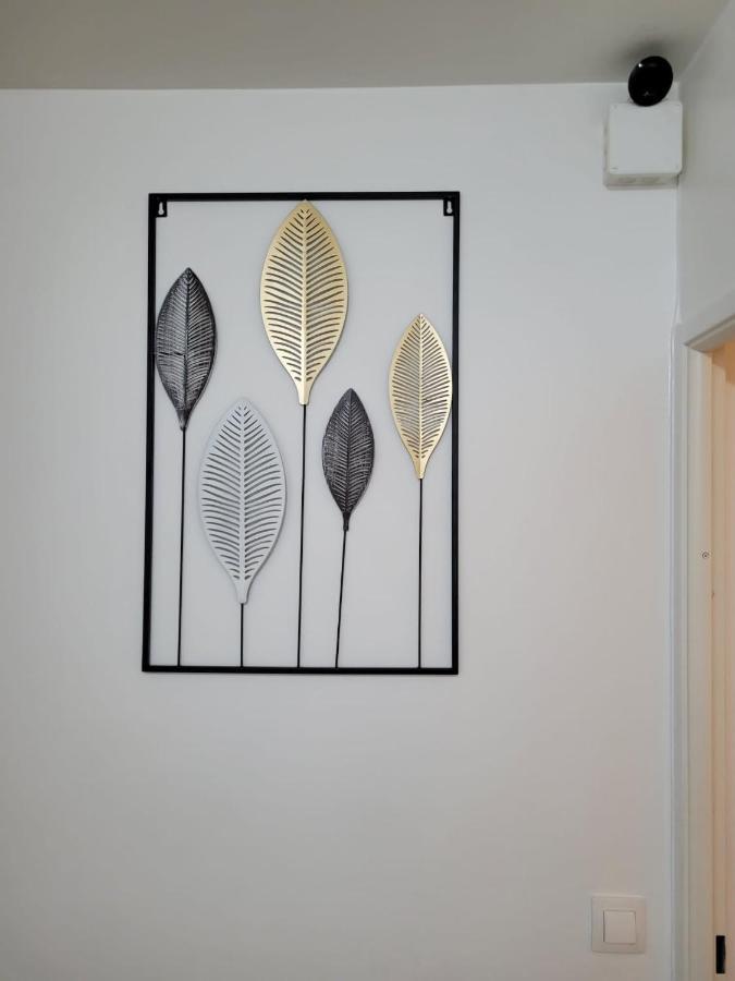 Boissy Gare Rer A Appartement 1 A 3 Chambres Au Choix 외부 사진